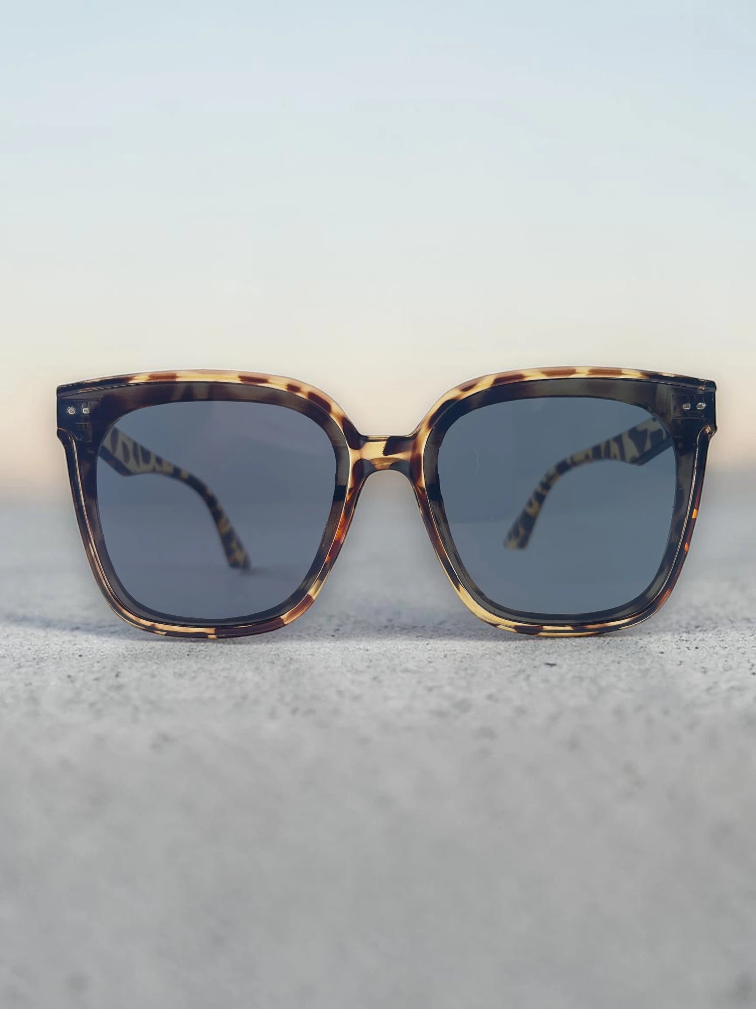 Square Cateye Sunglasses