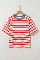 Stripe Contrast Collar Raglan Sleeve T-Shirt